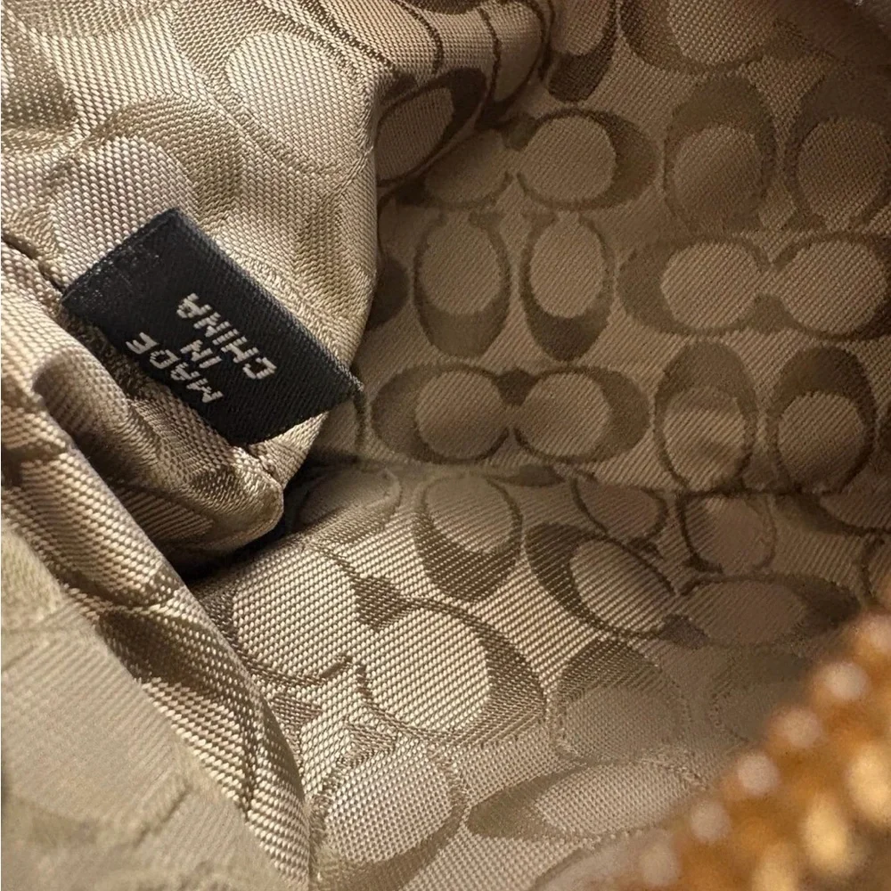 Coach Y2K Shearling Suede Wristlet